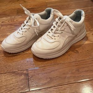 Everlane leather sneaker
